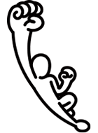 アンチエイジング